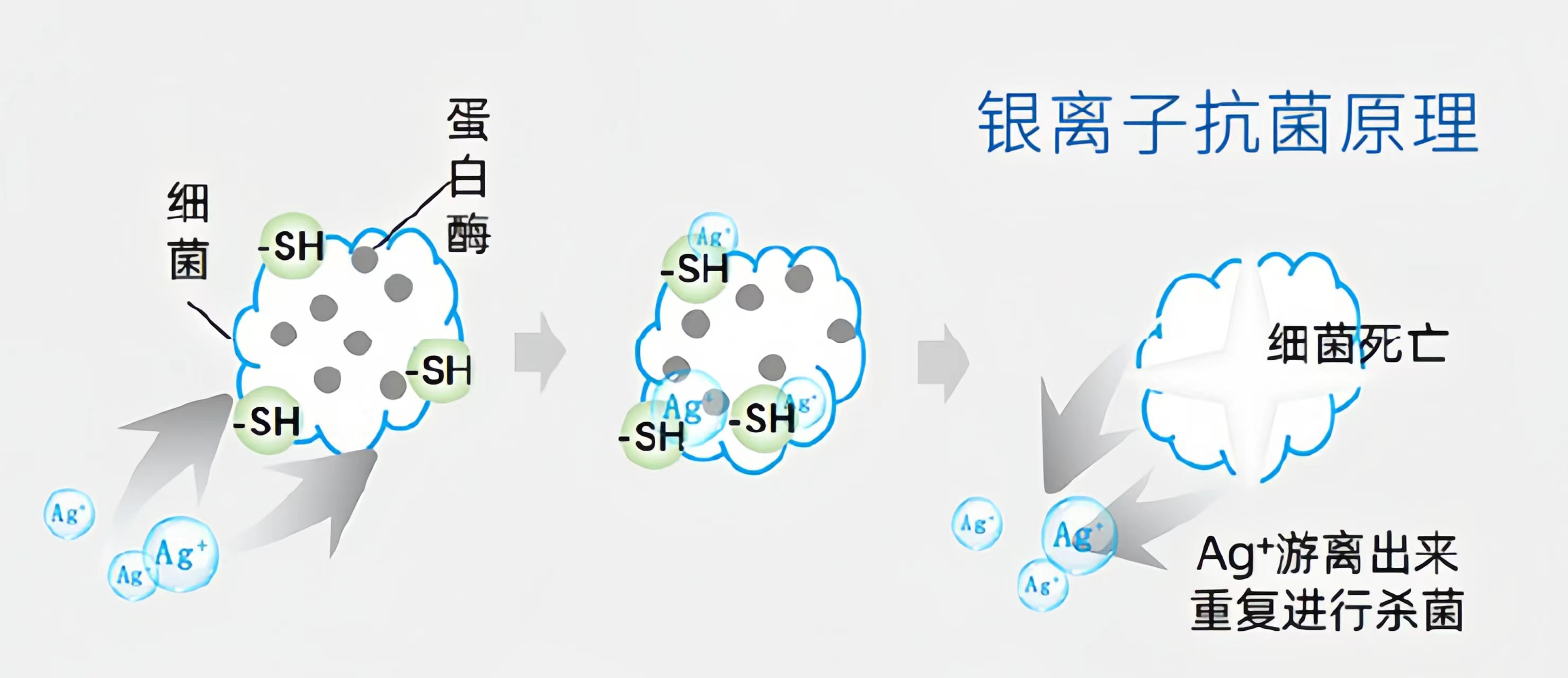 微信图片_20240221163656